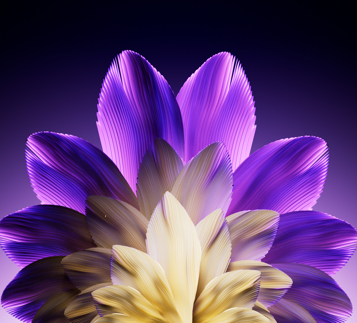 07_Soft_Layers_01_EM_V52_v2.v001