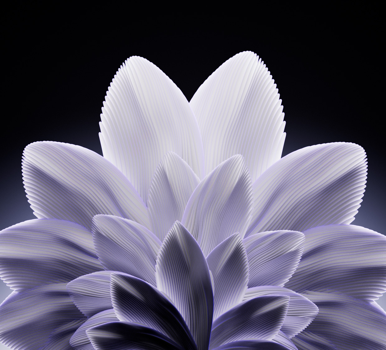07_Soft_Layers_01_EM_V55.v001
