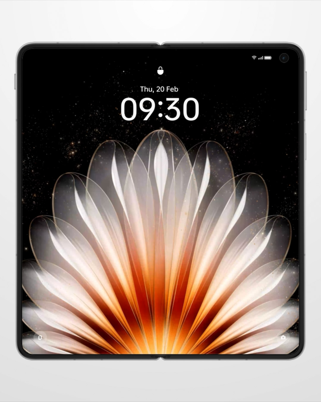 OPPO Wallpaper 2024