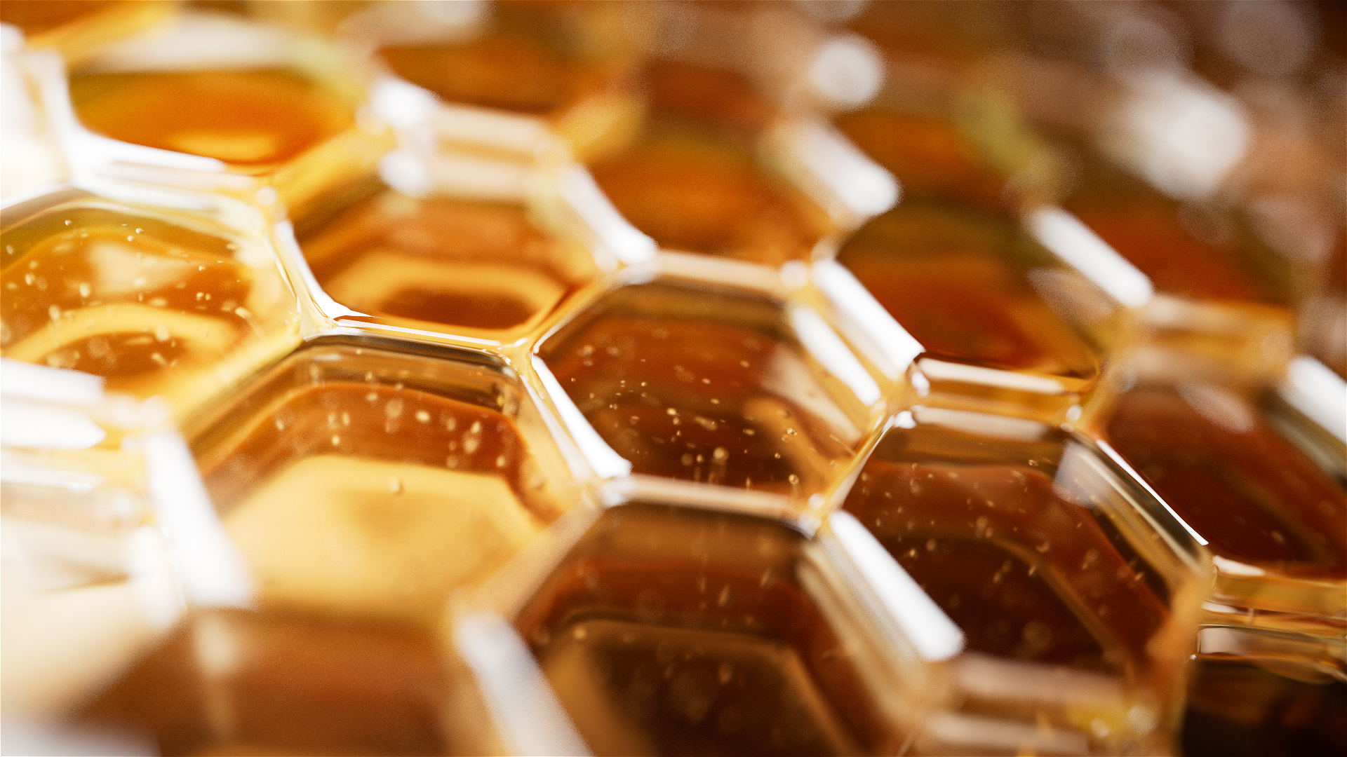 02_HoneyComb_01_SS_v01.Redshift_ROP3_00000