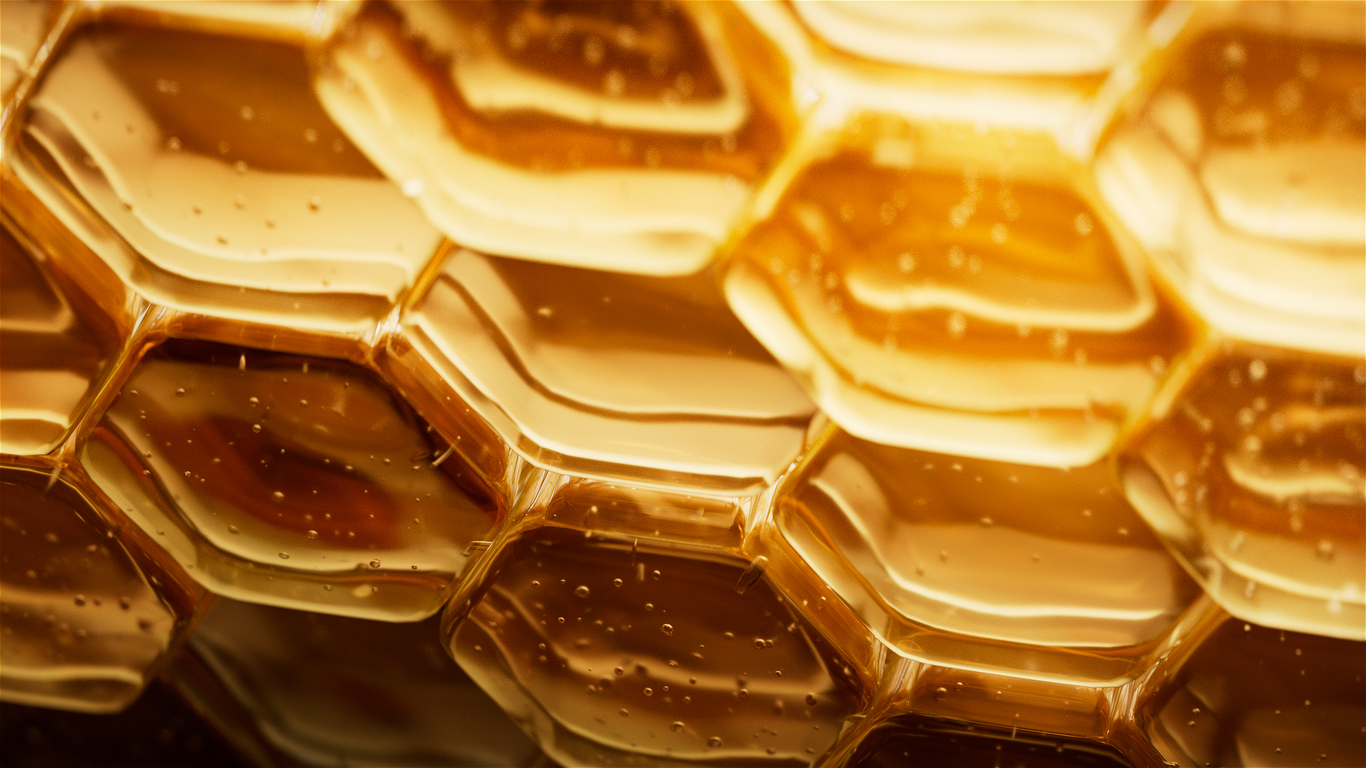 02_HoneyComb_01_SS_v01.Redshift_ROP4_00000