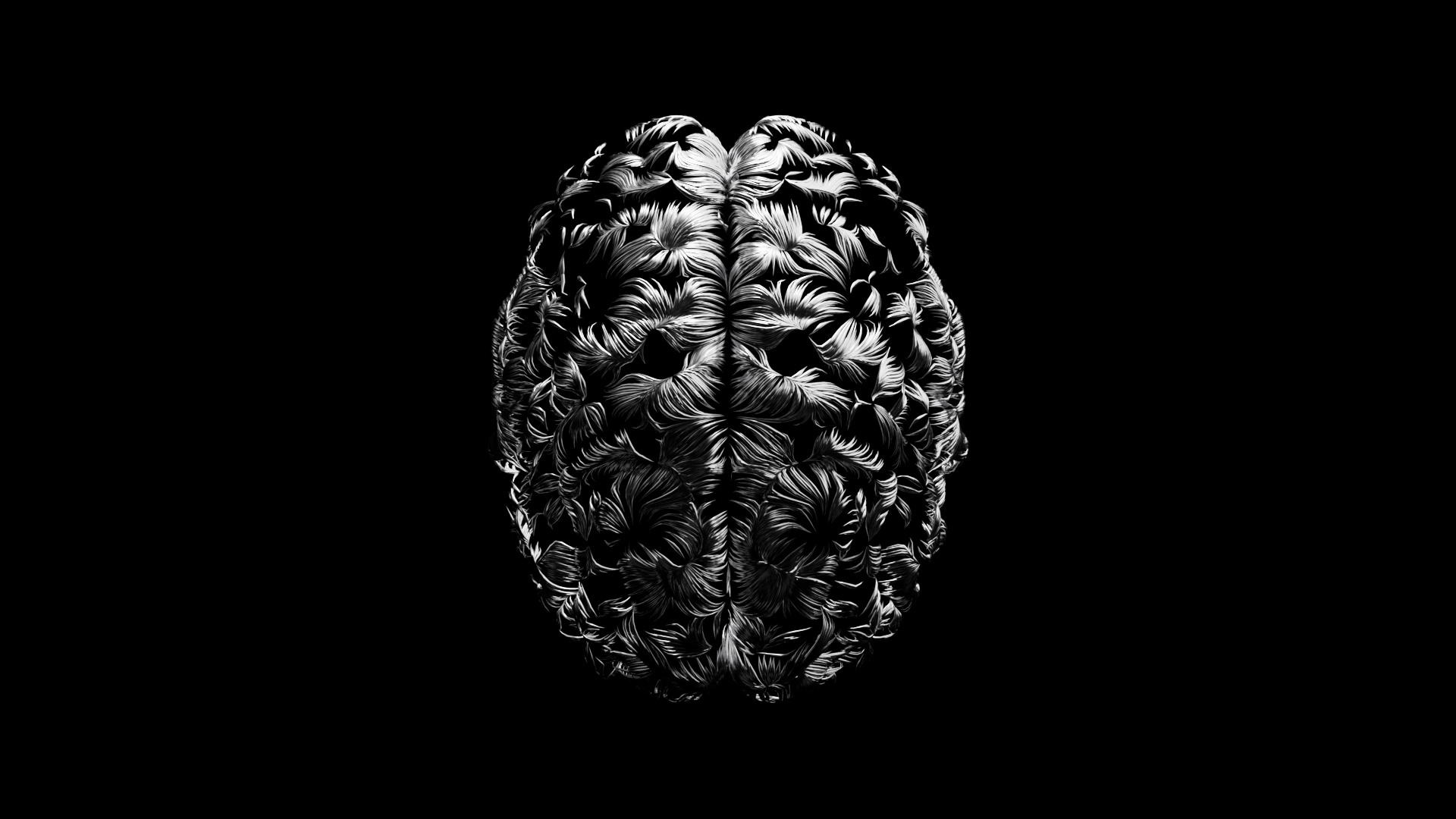 03_nail_01_DS_v08_01