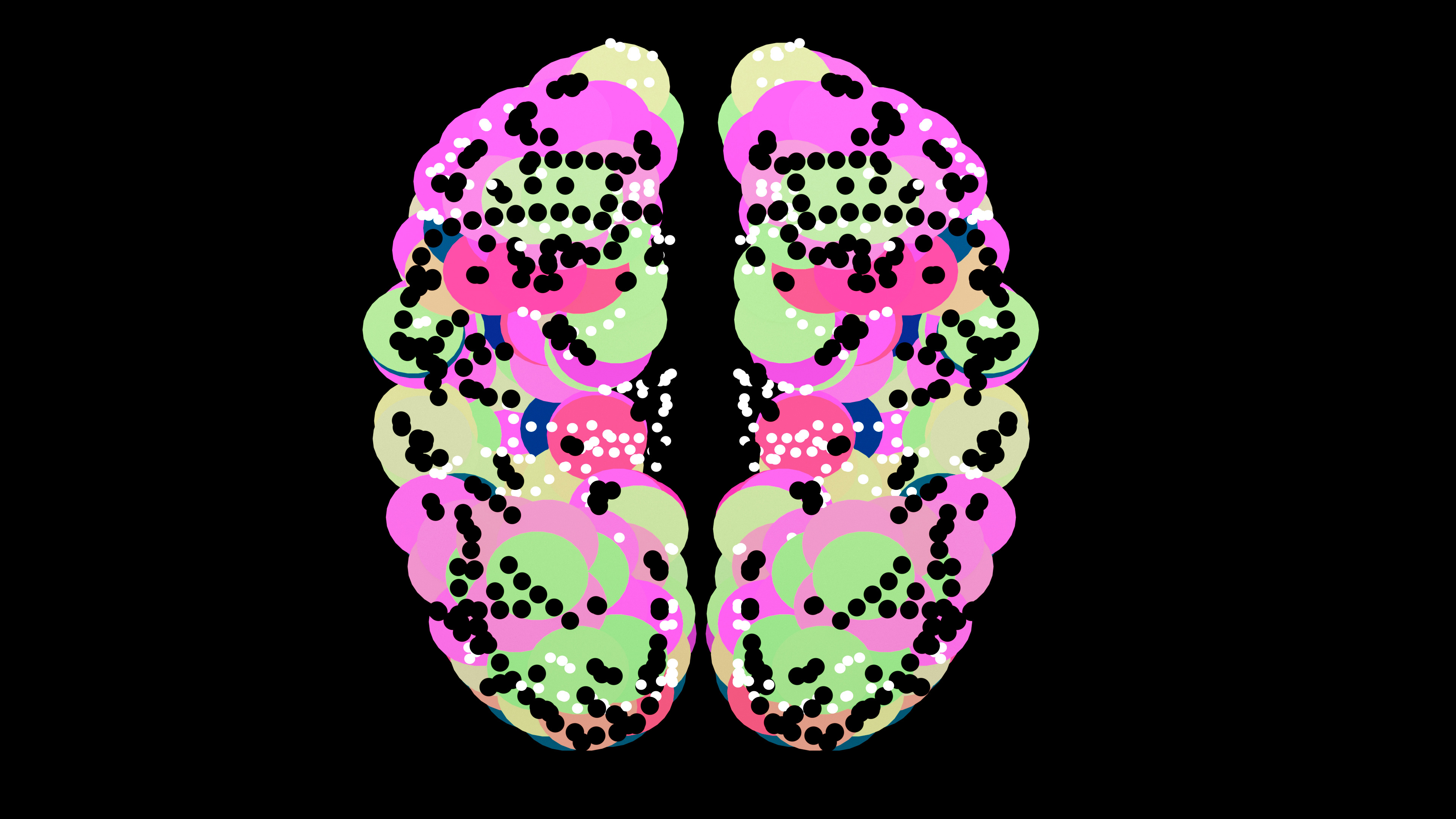 04_Neurosystem_05_AP_v02_02