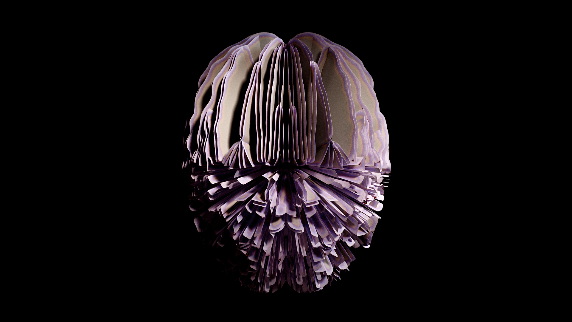 20_Distortion_01_AP_v06