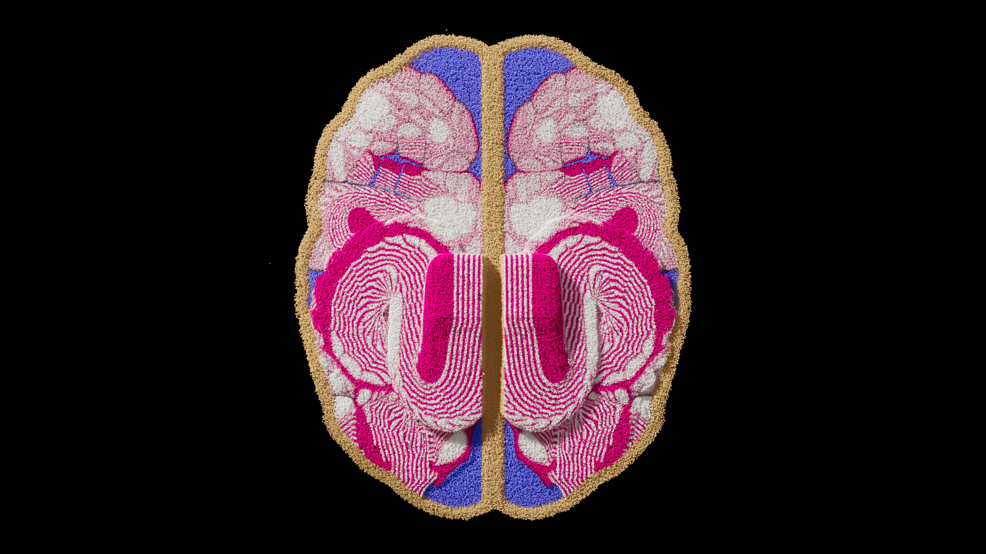 22_Gradient_01_RE_v08