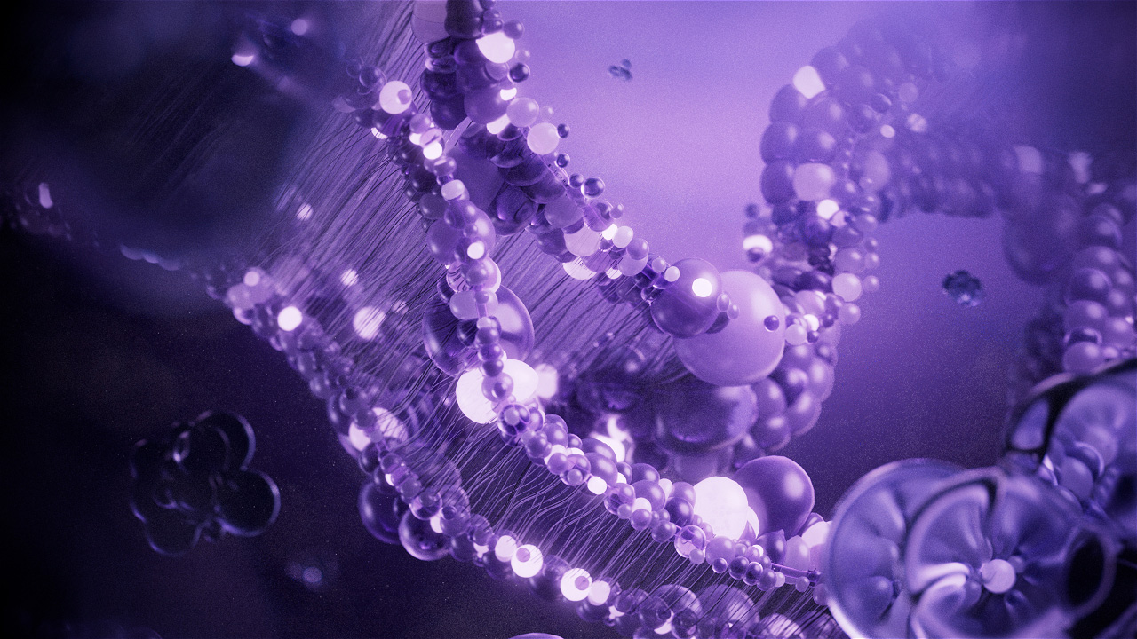 02_DNA_01_SS_v13.CAM_0001.0001_00000