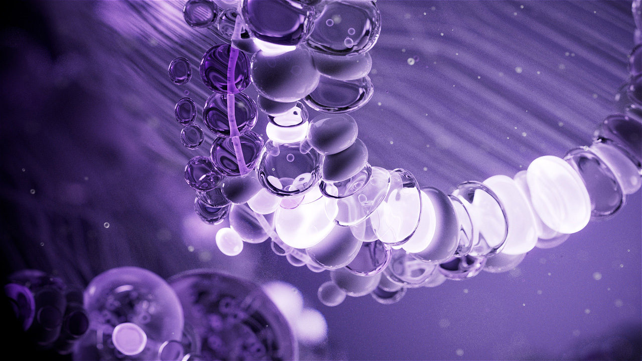 02_DNA_01_SS_v15.CAM_0006_00000