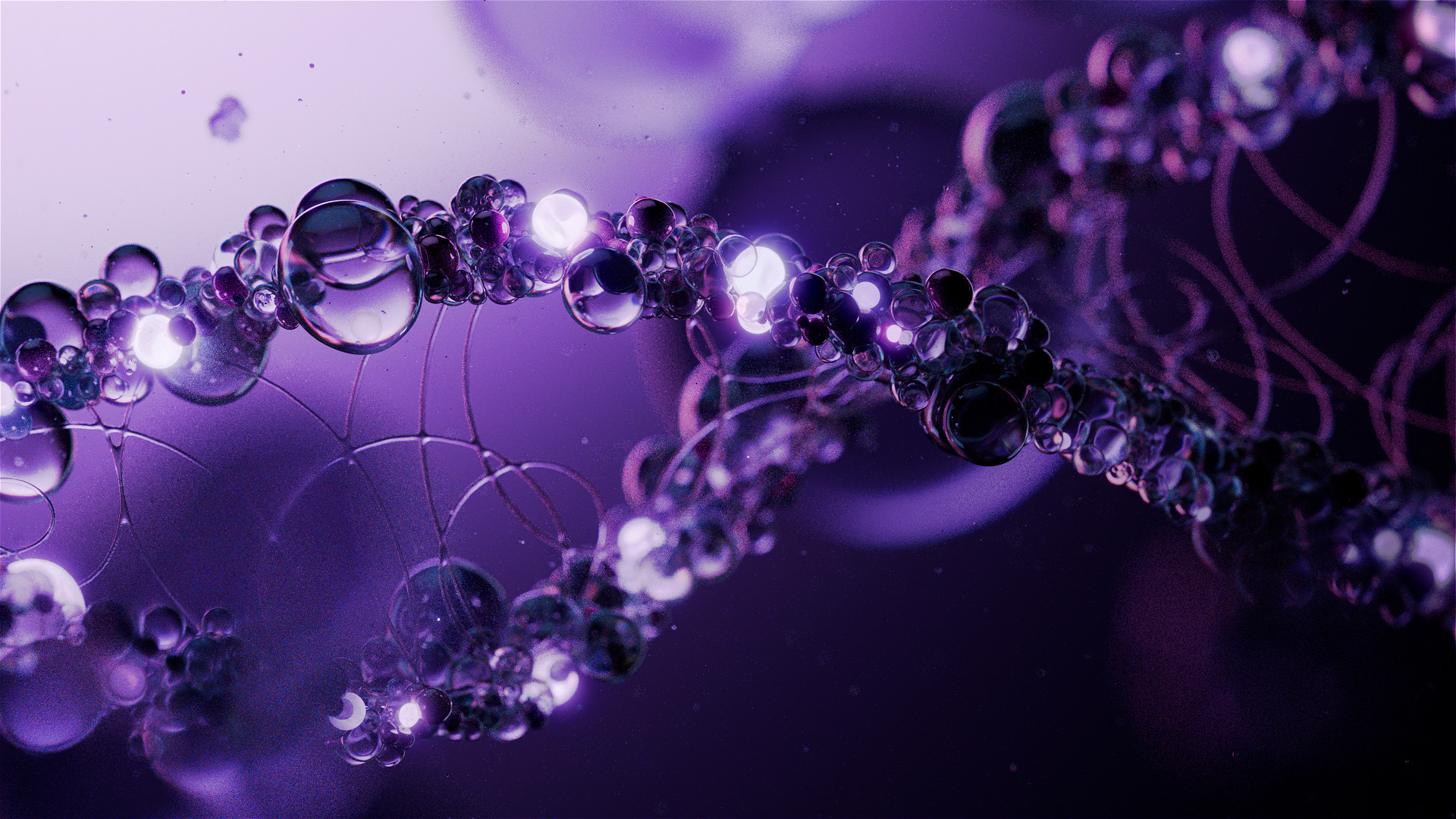 02_DNA_01_SS_v26.CAM_0008_01_00000