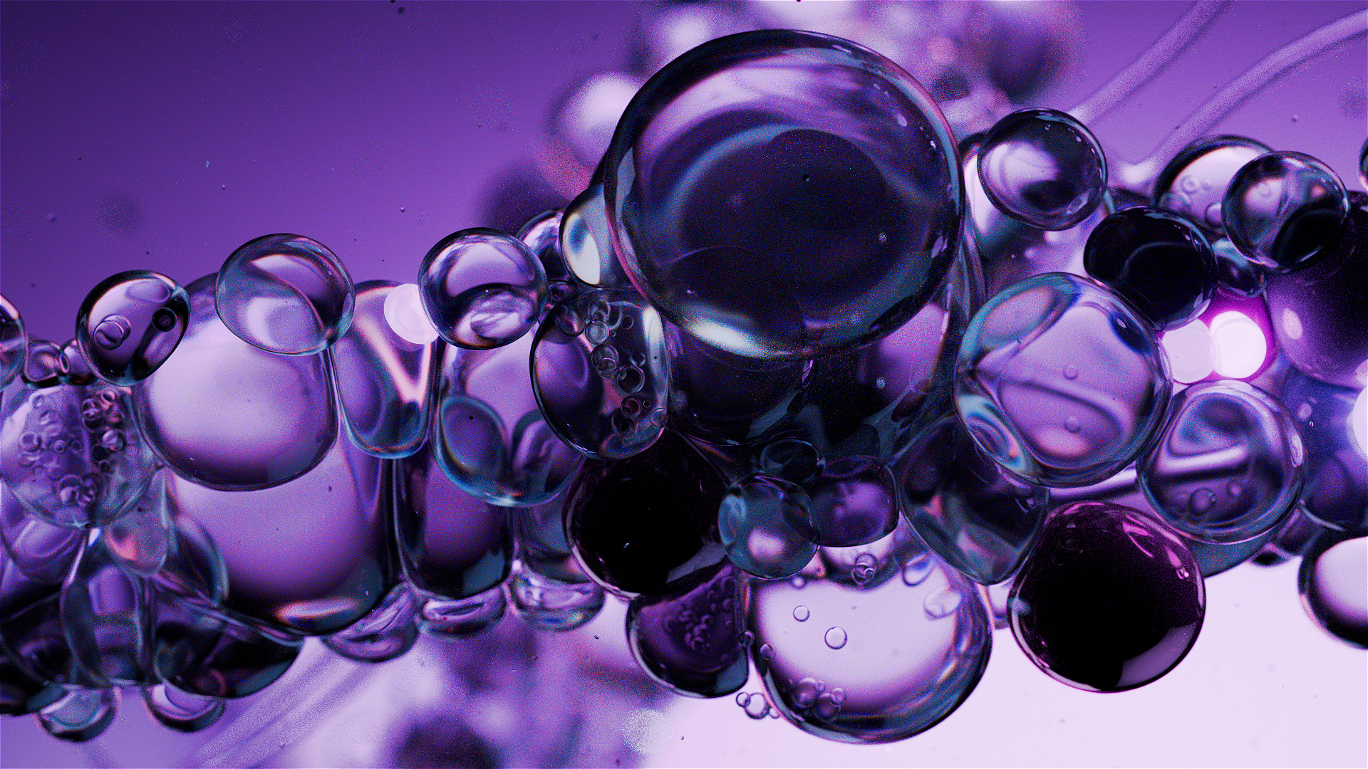 02_DNA_01_SS_v26.CAM_0011_01_00000