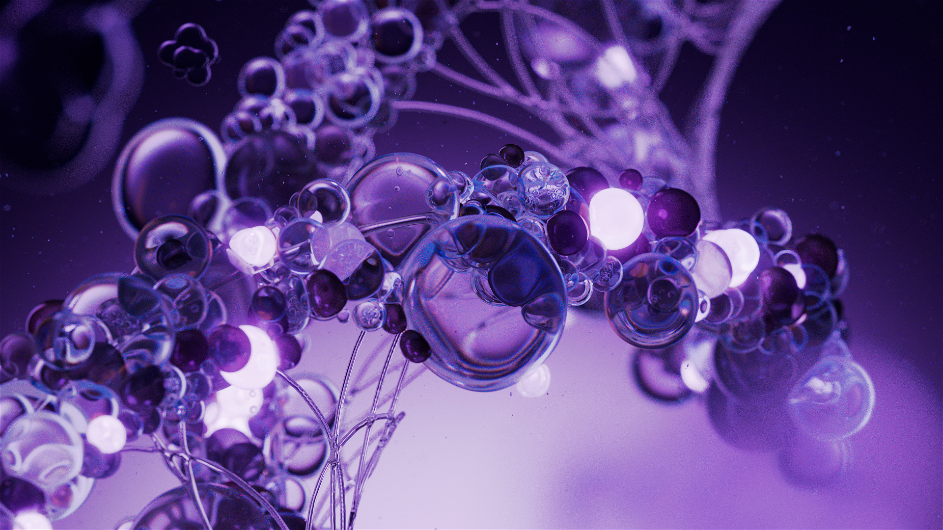 02_DNA_01_SS_v27.CAM_0009_01_00000